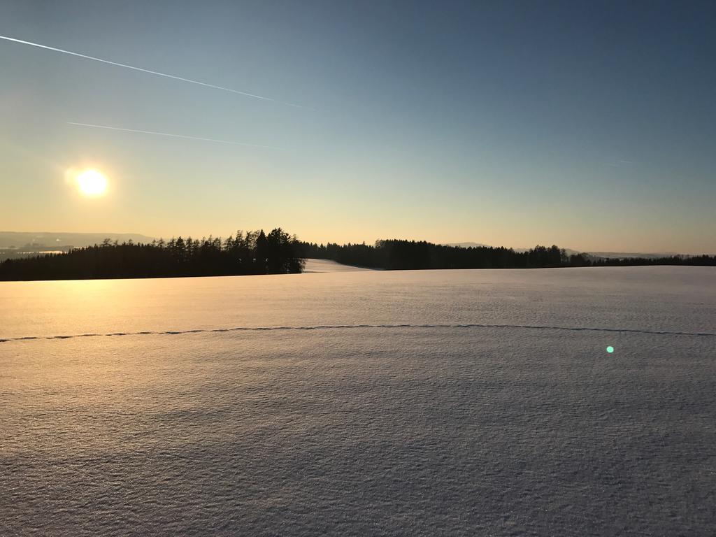 Отель Farma Basarovi Prosecne Экстерьер фото